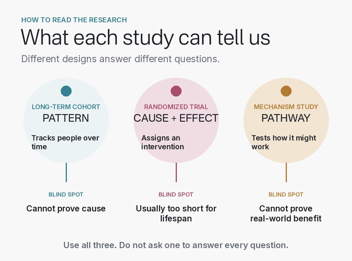 Evidence diagram comparing the strengths and blind spots of long-term cohorts, randomized trials, and mechanism studies.