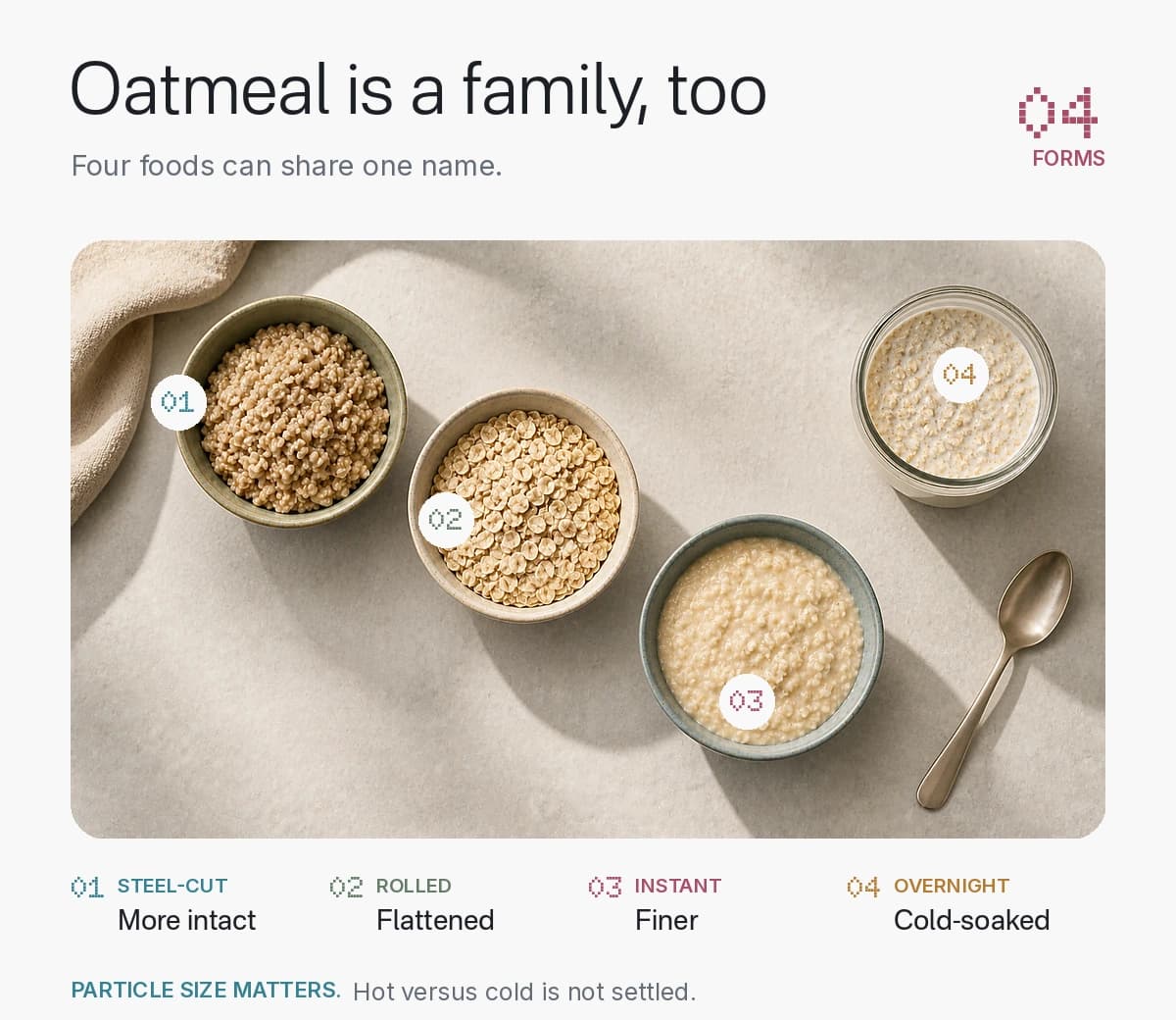 Steel-cut, rolled, instant, and overnight oats shown side by side to compare particle size and preparation.