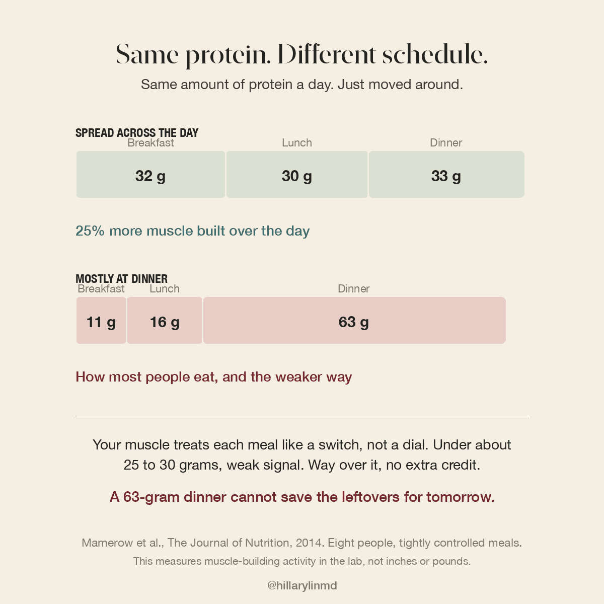 The same daily protein arranged two ways. Spread across the day as 32, 30 and 33 grams produced 25 percent more muscle building than 11, 16 and 63 grams loaded at dinner.