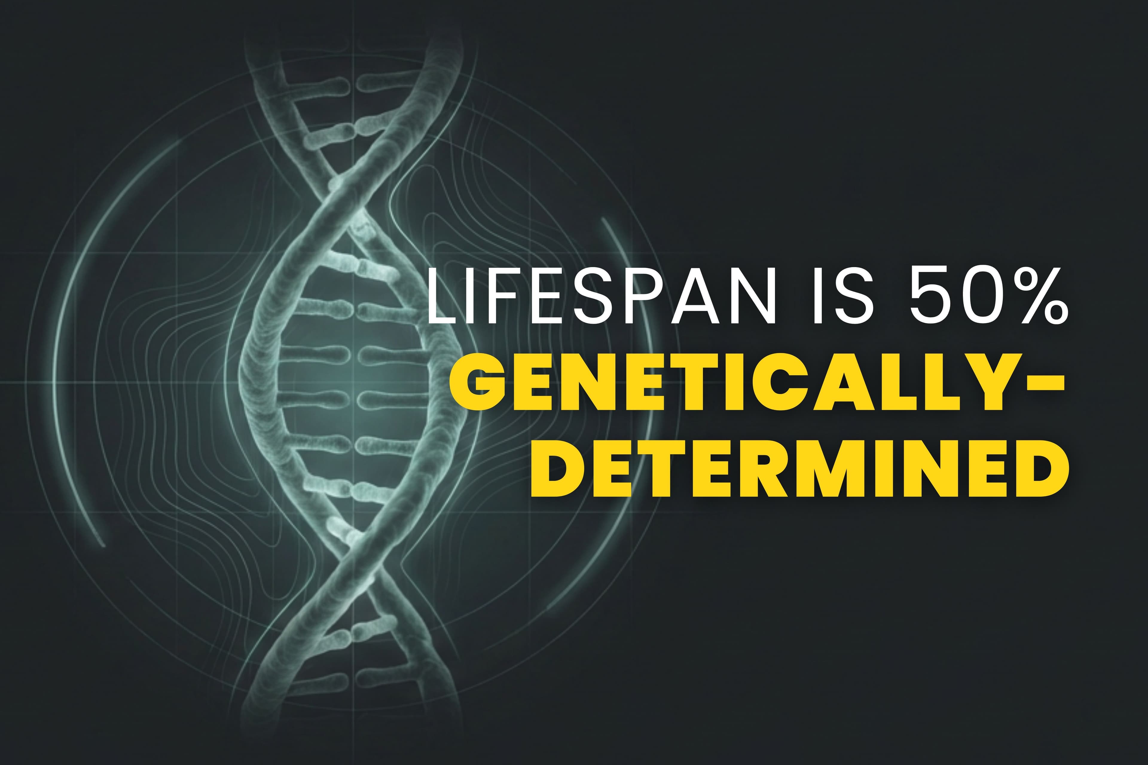 The Longevity Letter #15: Is 50% of your lifespan already "decided"?