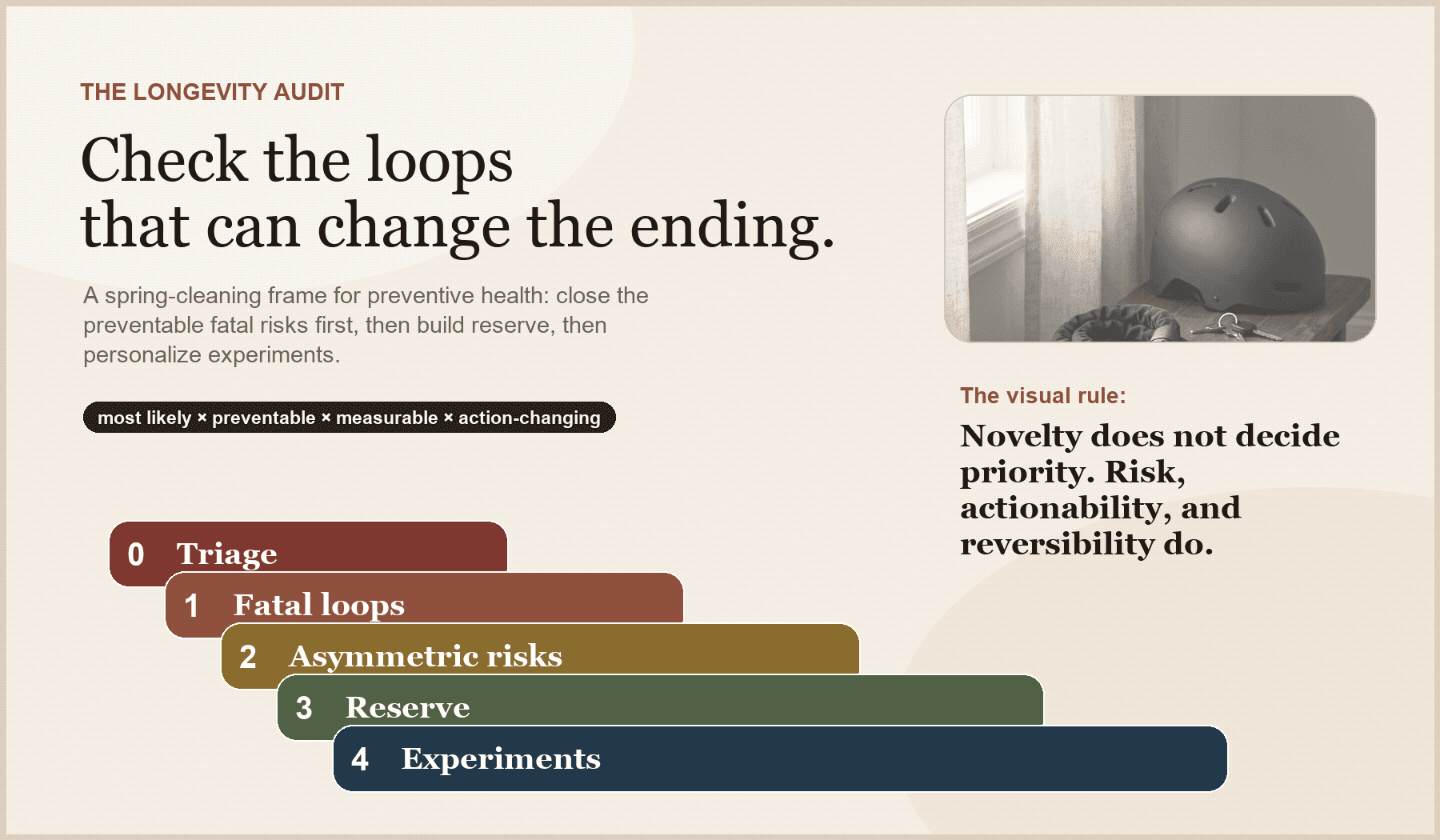Web-native Longevity Audit priority map showing triage, fatal loops, asymmetric risks, physiologic reserve, and experiments in descending priority order.
