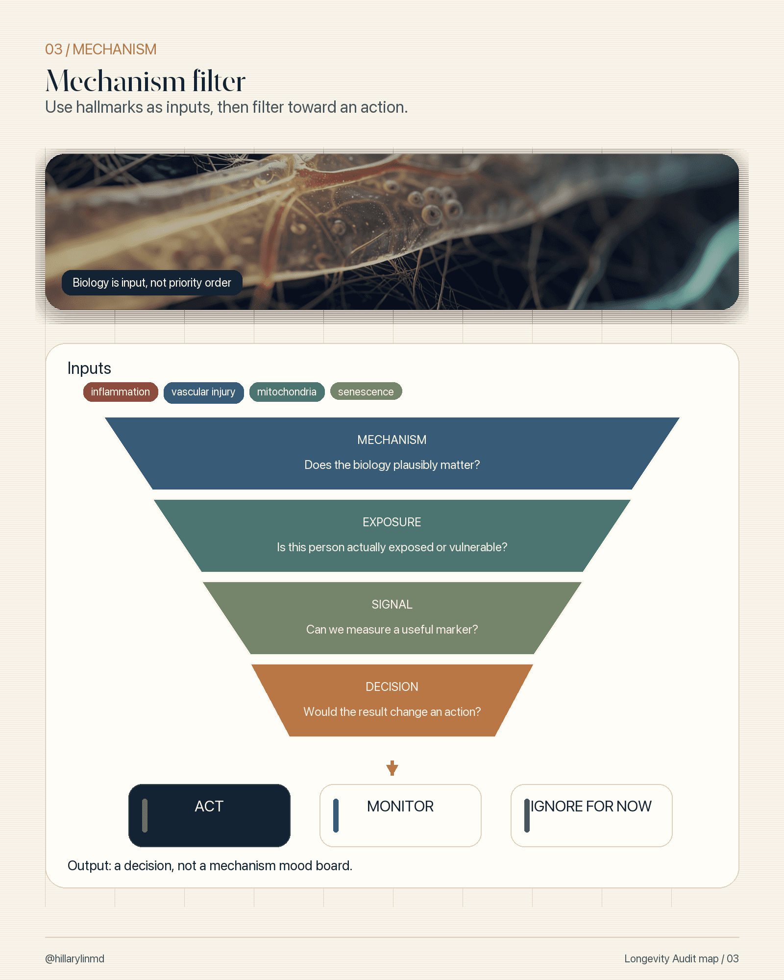 Mechanism filter translating hallmarks of aging into measurable and action-changing human audit items.