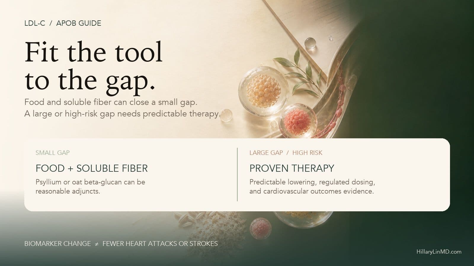 Decision map matching food and soluble fiber to a small LDL gap and outcome-proven therapy to a large or high-risk gap.