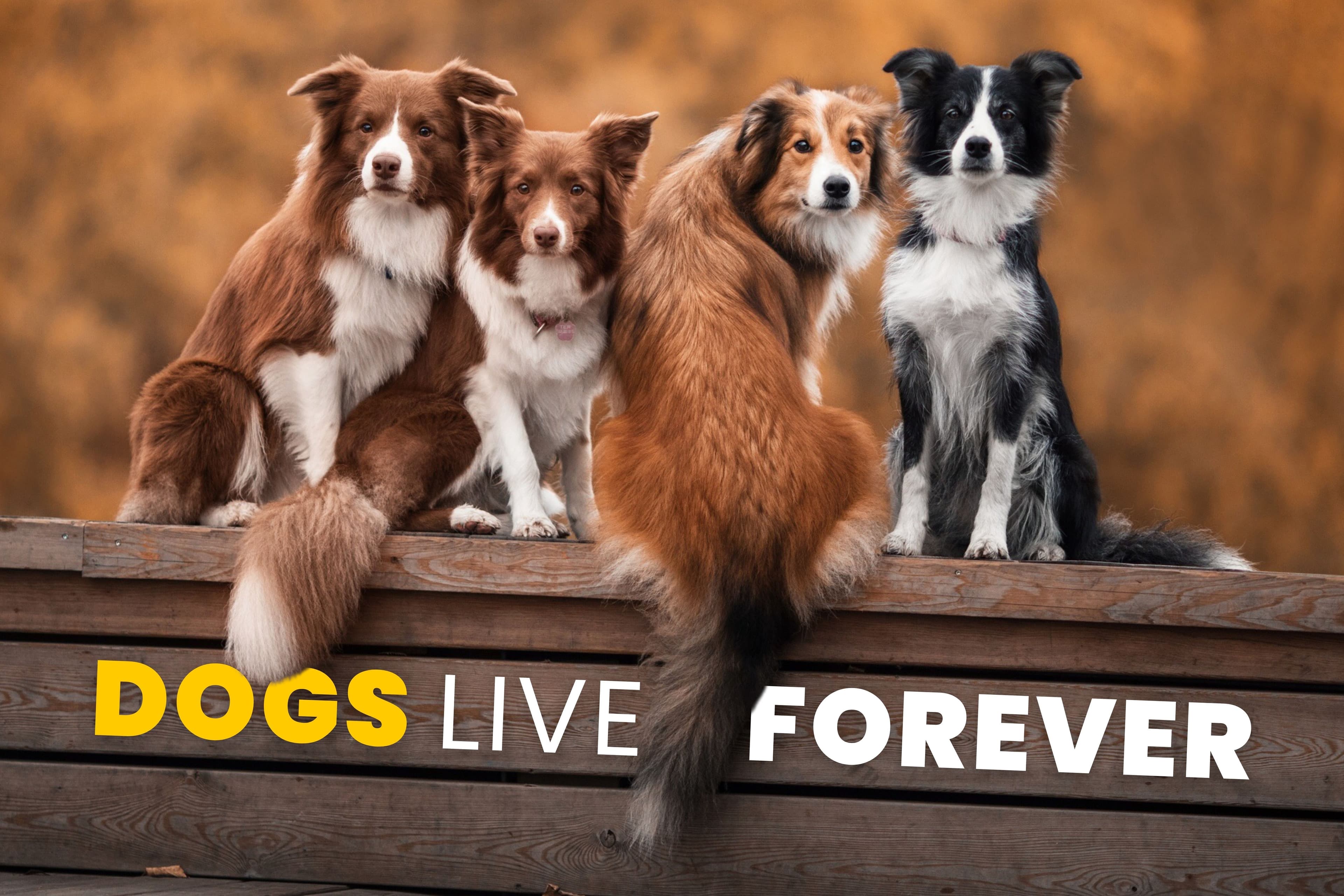 The Longevity Letter #8: 3 breakthroughs that could reverse aging by 2030