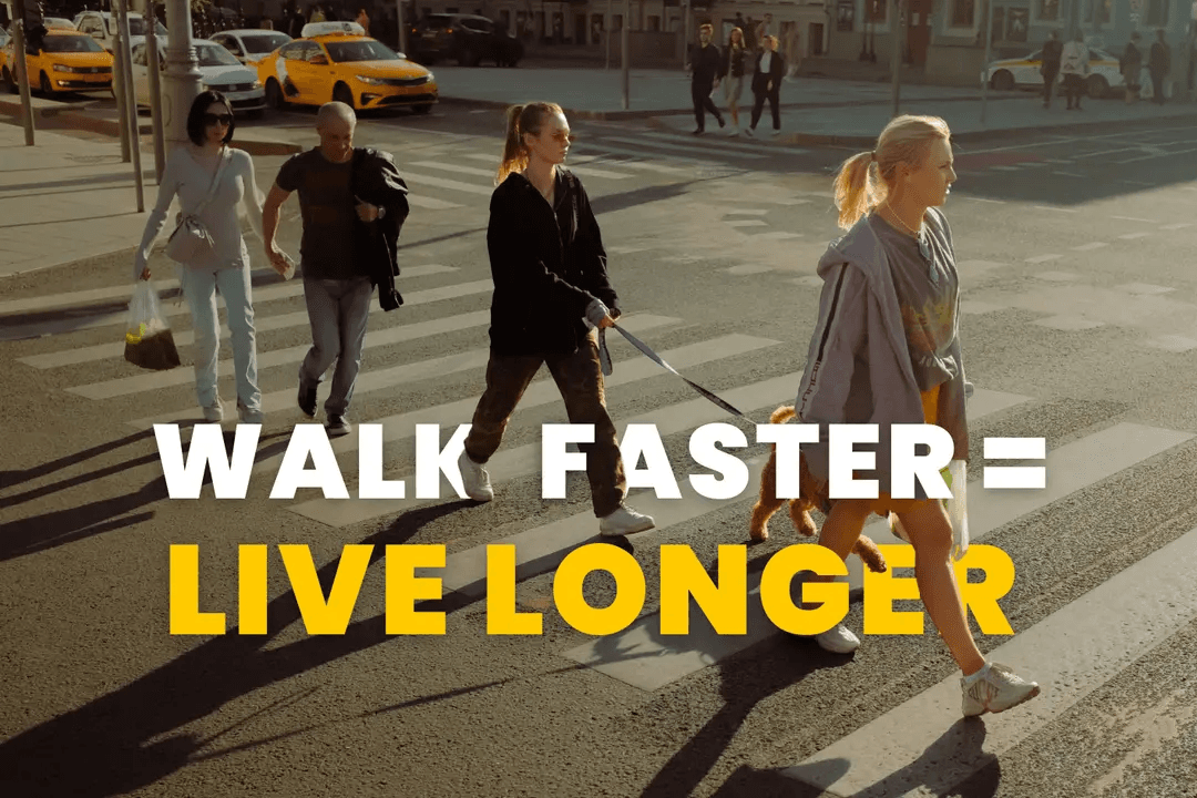 My Unusual Body Recomp Stack