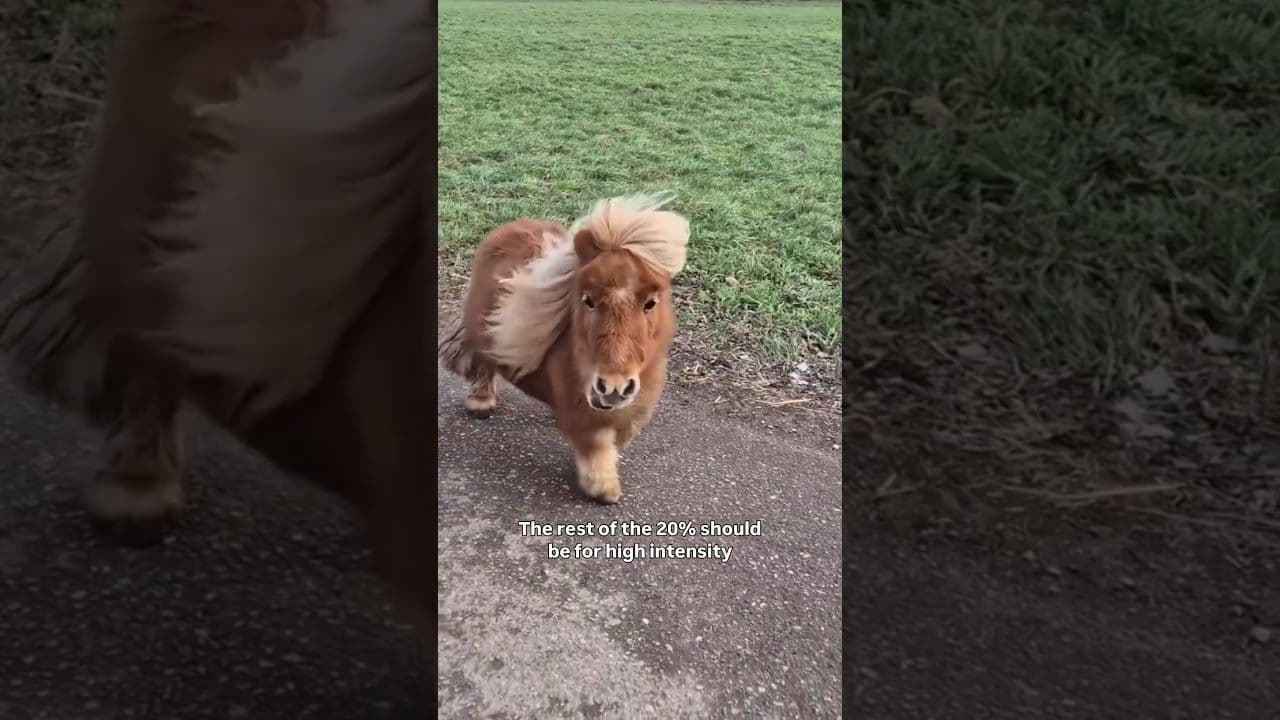 Dr. Hillary Lin video: Be the Longevity Pony, longevity medicine physician