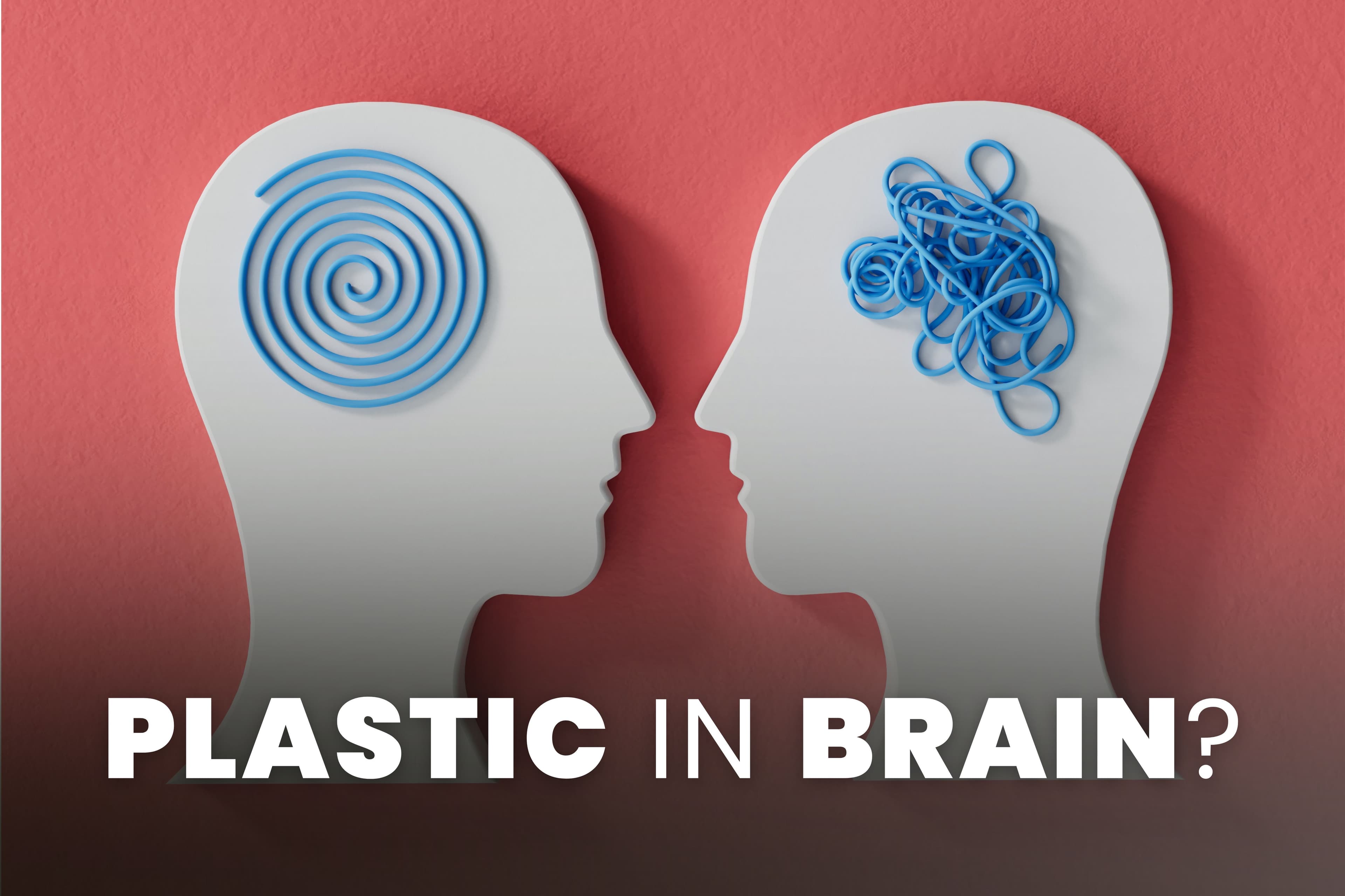 The Longevity Letter #11: Peptide Craze and Plastic Brains, and Exposing the Hidden Dangers of ‘Healthy’ Bars